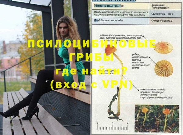 сатива Семёнов