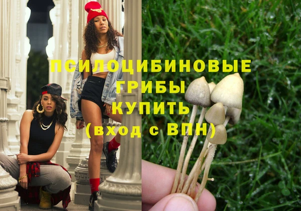 сатива Семёнов