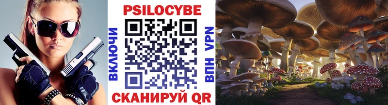 Галлюциногенные грибы Psilocybine cubensis  как найти наркотики  Урень 