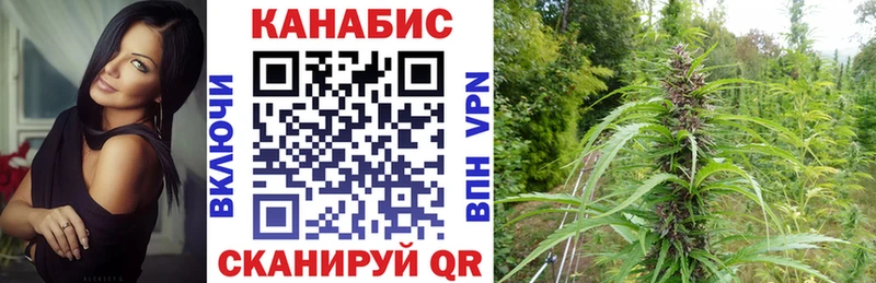 Конопля Ganja где найти Урень